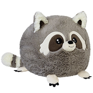 Squishable Baby Raccoon (Standard) (ONLINE ORDER ONLY)