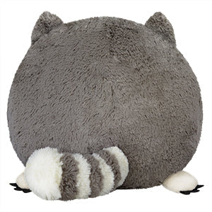 Squishable Baby Raccoon (Standard) (ONLINE ORDER ONLY)