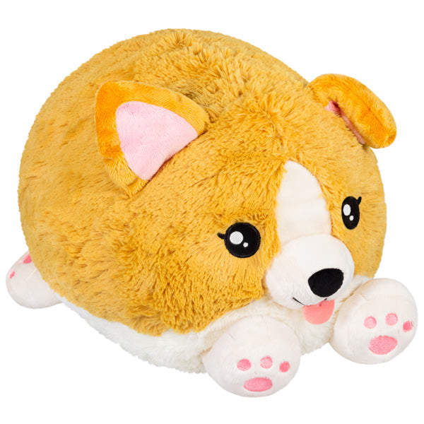 Squishable Baby Corgi (Standard) (ONLINE ORDER ONLY)