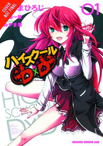 High School DXD VOL 1 (ONLINE ORDER ONLY)