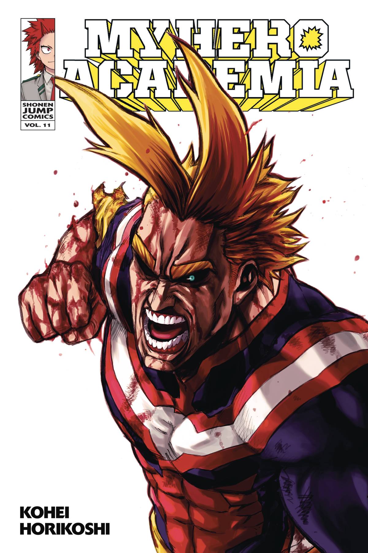 My Hero Academia VOL 11 (ONLINE ORDER ONLY)