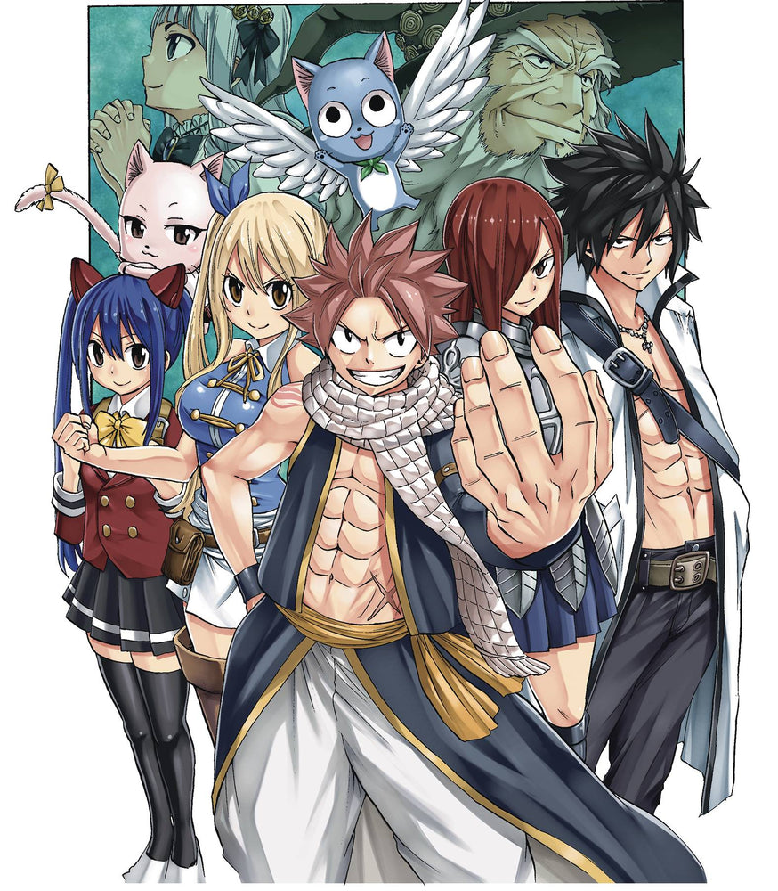Fairy Tail 100 Years Quest Volume 08 (ONLINE ORDER ONLY)