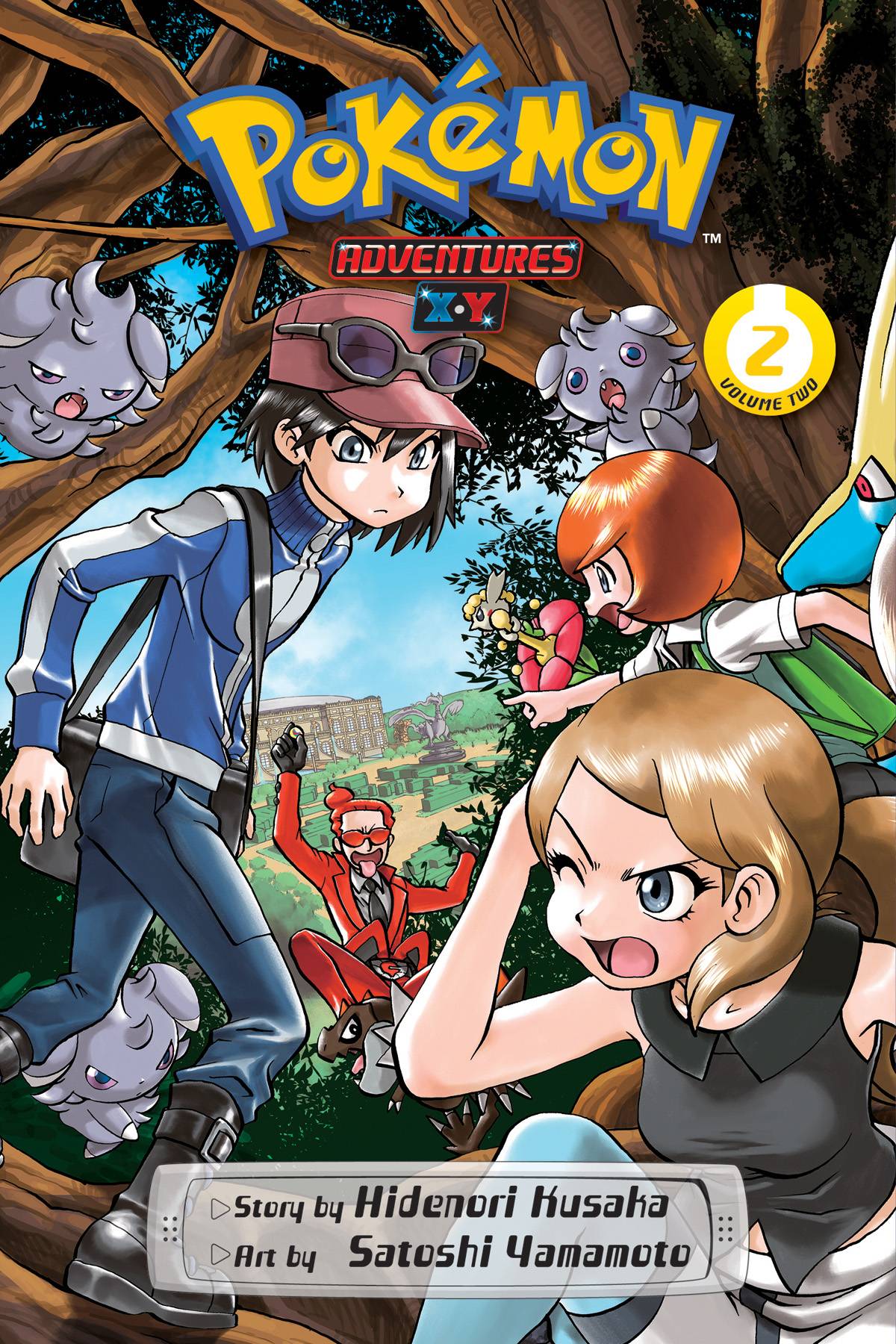 POKEMON ADV X Y GN VOL 02 (ONLINE ORDER ONLY)