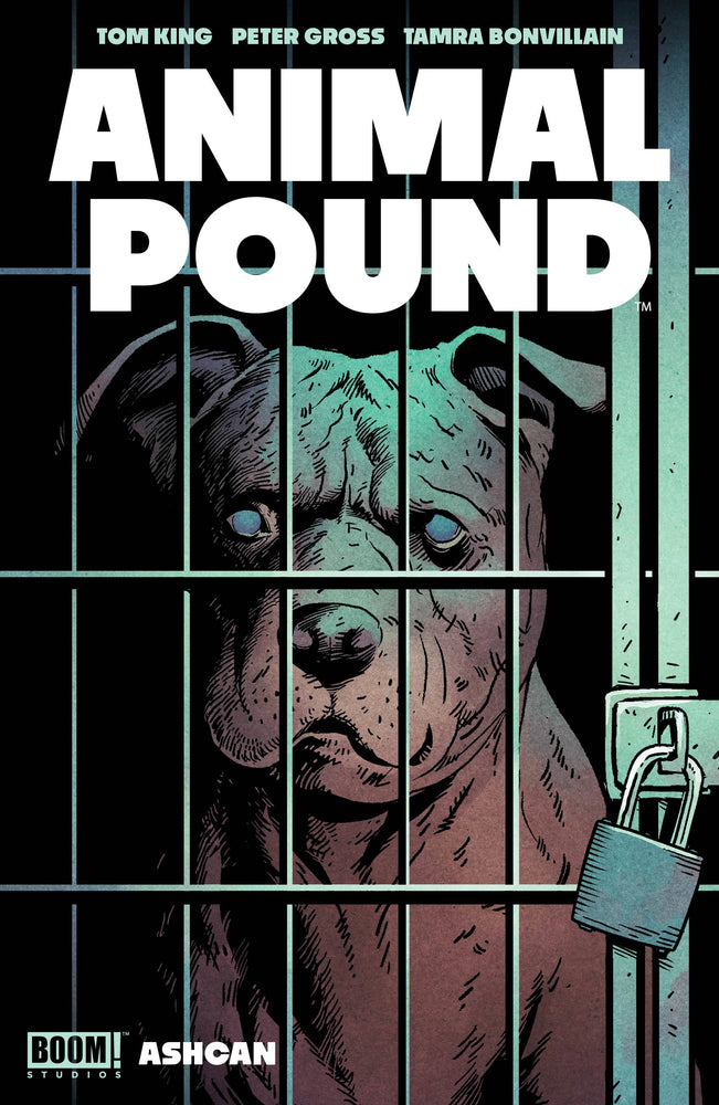 Animal Pound A Ashcan Peter Gross Tom King  (11/15/2023) Boom (ONLINE ORDER ONLY)