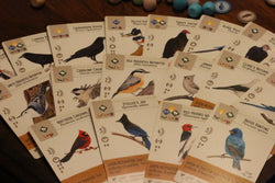 Wingspan (ONLINE ORDER ONLY)