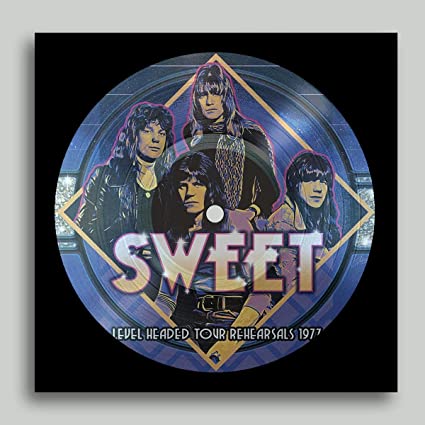 LEVEL HEADED TOUR REHEARSALS 1977 (PICTURE DISC) [Vinyl]