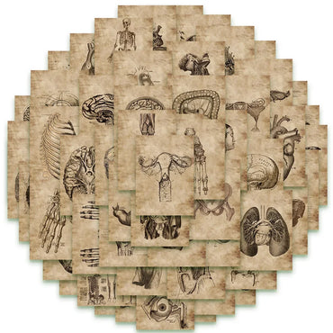 10/56pcs Vintage Human Organ Medical Anatomy Stickers Body Structure Decals Laptop Luggage Phone Graffiti Waterproof Stickers (Online Order Only)