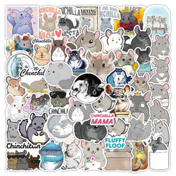 10/30/53PCS Chinchilla Cartoon Stickers Mouse Graffiti Sticker Animal Decoration Laptop Phone Guitar Car Bike Skateboard Decals (ONLINE ORDER ONLY)