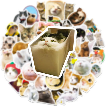 10/30/50PCS Cute Cat Cartoon Stickers Toys Graffiti Decoration Kids DIY Phone Notebook Laptop Fridge Car Funny Decals Waterproof (Online Order Only)