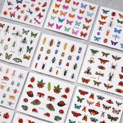 30pcs/Set Y2K 3D Cute Insect Nail Stickers Chic Dragonfly Spider Insect Butterfly Design Sliders Ladybug Beetle Manicure Decals* (Online Order Only)