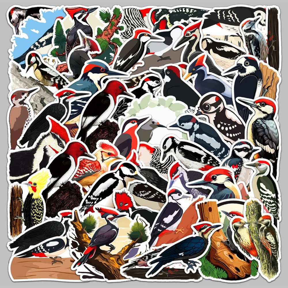 50pcs Cartoon Woodpecker Stickers for Helmet, Wall, Desktop Decoration (ONLINE ORDER ONLY)