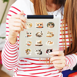 10/30/50PCS Kawaii Oil Painting Cat Sticky PVC Sticker Aesthetic DIY Decoration Scrapbooking Hand Accounting Supplies for Kids (ONLINE ORDER ONLY)