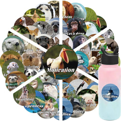 Animal Expression Stickers for Phone, Laptop, Luggage, Skateboard - Fun DIY Decals for Kids (10/30/50PCS) (Online Order Only)