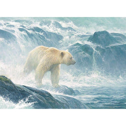 Salmon Watch - Spirit Bear 500 Piece Jigsaw Puzzle Cobble Hill (ONLINE ORDER ONLY)