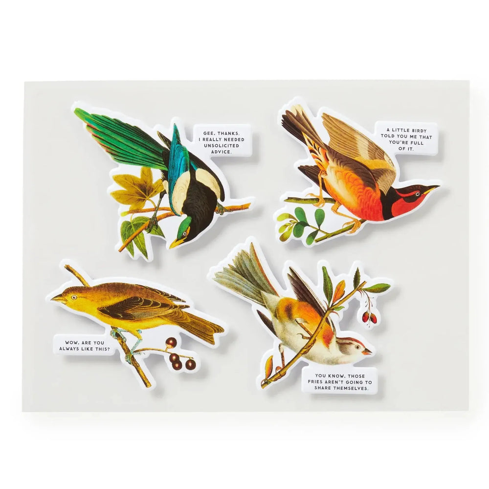 Salty Birds 1000 Piece Jigsaw Puzzle (+Stickers) Brass Monkey