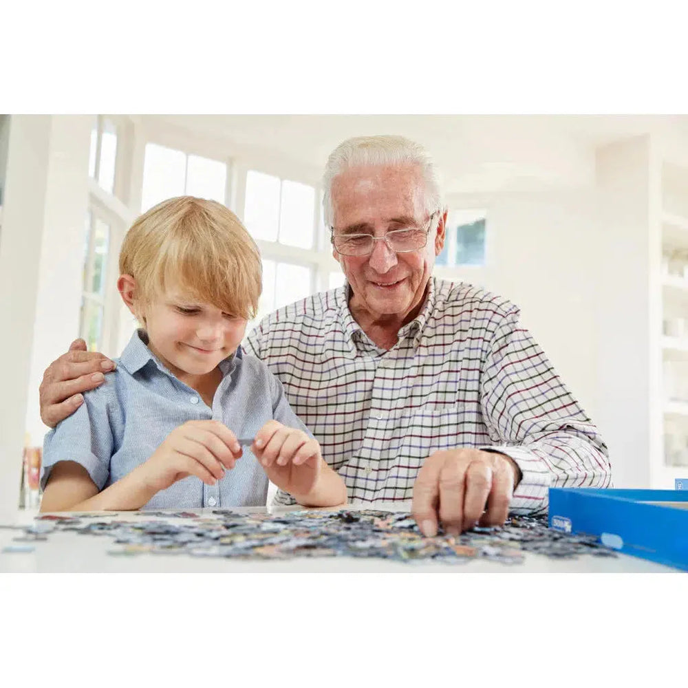 San Francisco Metropuzzle 1000 Piece Jigsaw Puzzle Geotoys (ONLINE ORDER ONLY)