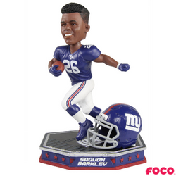 Removable Helmet Bobbleheads (ONLINE ORDER ONLY)
