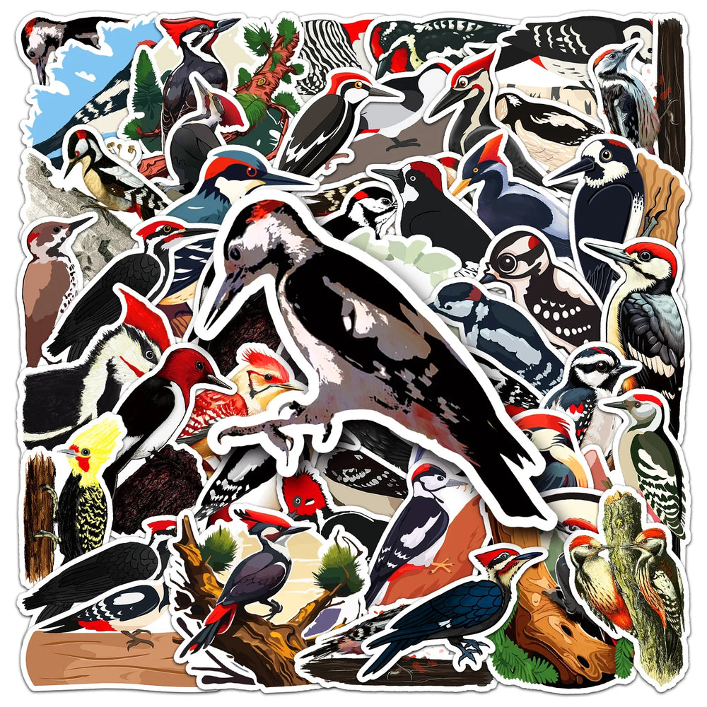 50 Cute Woodpecker Graffiti Stickers for Laptop, Guitar, Skateboard, Suitcase Decoration (ONLINE ORDER ONLY)