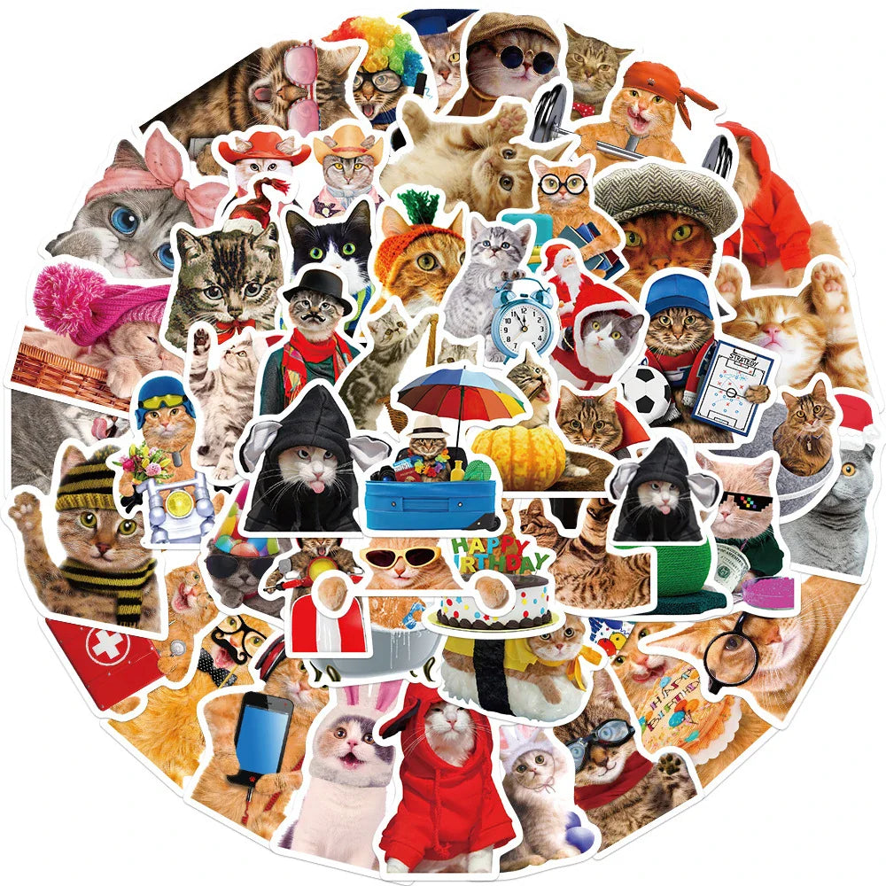 10/30/50pcs  Funny Animals Cat Meme Stickers Cute Cartoon Decals Kids Toys Laptop Notebook Luggage Motorcycle Decoration Sticker (ONLINE ORDER ONLY)