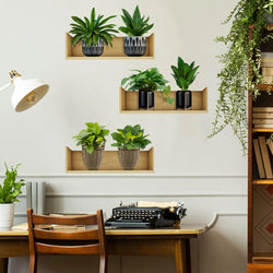 Wall Sticker Green Plant Potted Plant Shelves Self-adhesive Decor For Living Room Vinyl Bedroom Home Decoration Decal PVC Poster (Online Order Only)