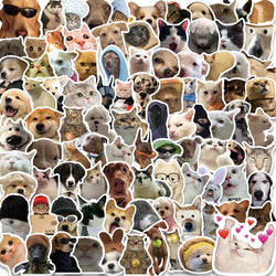 50PCS Cute Cat Dog Stickers Funny Meme Pet Decals Laptop Phone Luggage Bottle Car Scrapbook (ONLINE ORDER ONLY)