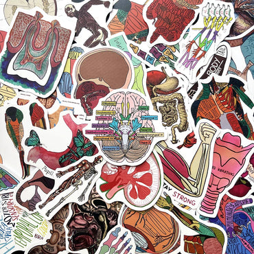 10/50pcs Human Anatomy Stickers for Luggage, Skateboard, Laptop, Guitar Decals (ONLINE ORDER ONLY)