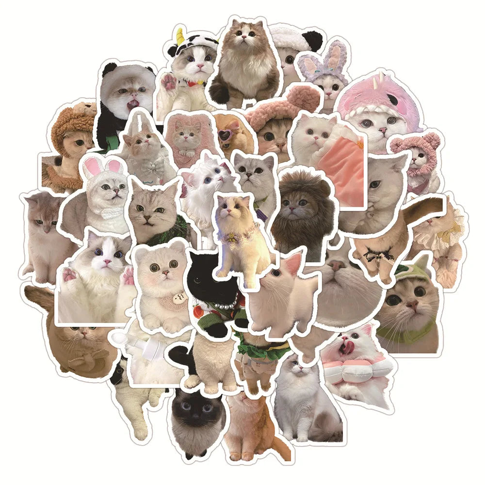 Kawaii Cat Stickers 10/30/60PCS for Laptop, Phone, Guitar, Car, Bike, Skateboard, Kids Toy (ONLINE ORDER ONLY)