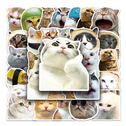 10/30/50PCS Funny Cute Cat Stickers Meme Kawaii Decals For Phone Notebook Laptop Phone Fridge Bike Graffiti DIY Waterproof Toys (ONLINE ORDER ONLY)