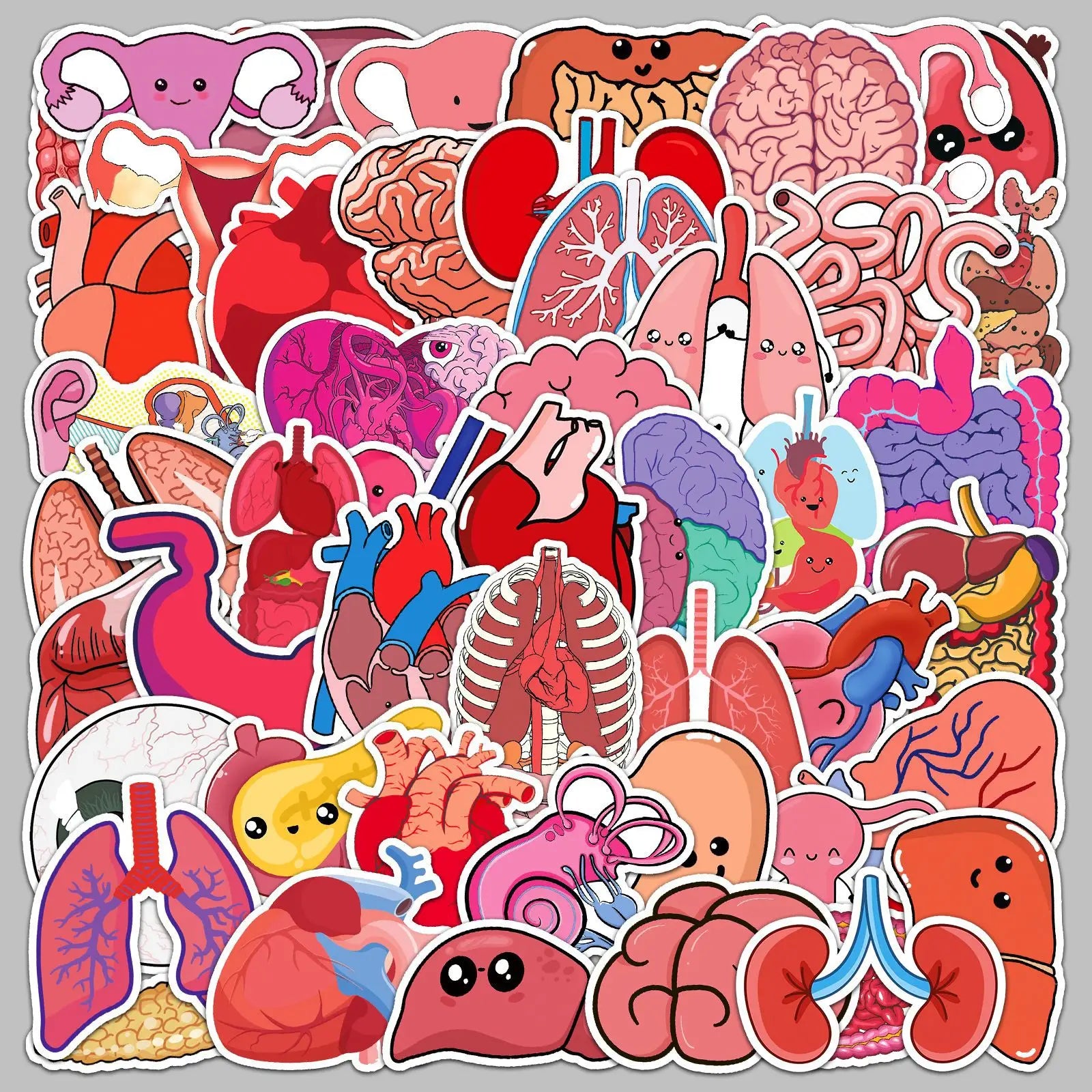 50pcs Cartoon Human Organs Stickers for Helmet, Wall, Desktop Decoration (ONLINE ORDER ONLY)