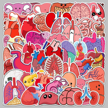 50pcs Cartoon Human Organs Stickers for Helmet, Wall, Desktop Decoration (ONLINE ORDER ONLY)