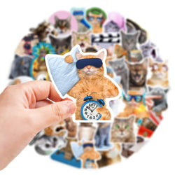 10/30/65PCS Kawaii Funny Cat Stickers Cute Cartoon Decals DIY Skateboard Phone Notebook Luggage Fridge Bike Car Sticker Kids Toy (ONLINE ORDER ONLY)