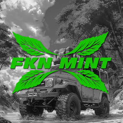 "FKN MINT"stickers,creative decal High Quality And Durable Automobiles Exterior Accessories Self-adhesive Decals (ONLINE ORDER ONLY)