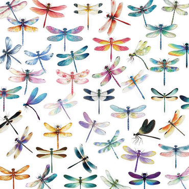 10/30/50PCS Dragonfly Stickers Cartoon Transparent Sticker Funny Insect DIY Toy Fridge Luggage Laptop Phone Guitar Bike Decals (ONLINE ORDER ONLY)