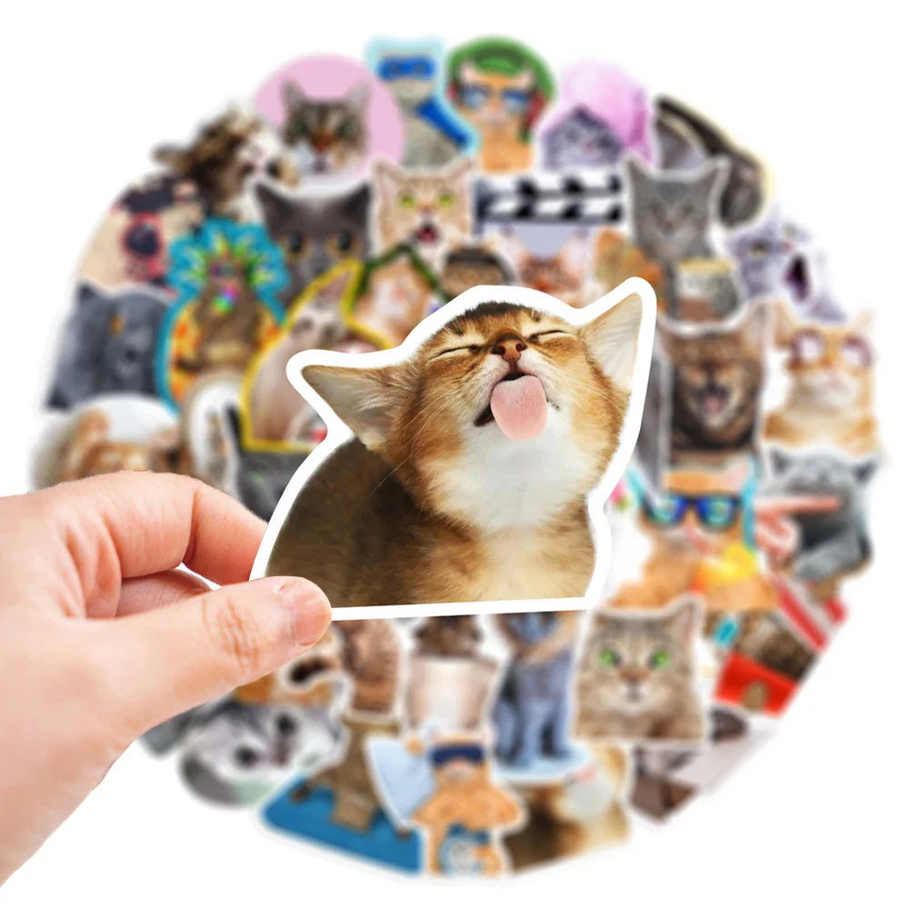 10/30/65PCS Kawaii Funny Cat Stickers Cute Cartoon Decals DIY Skateboard Phone Notebook Luggage Fridge Bike Car Sticker Kids Toy (ONLINE ORDER ONLY)