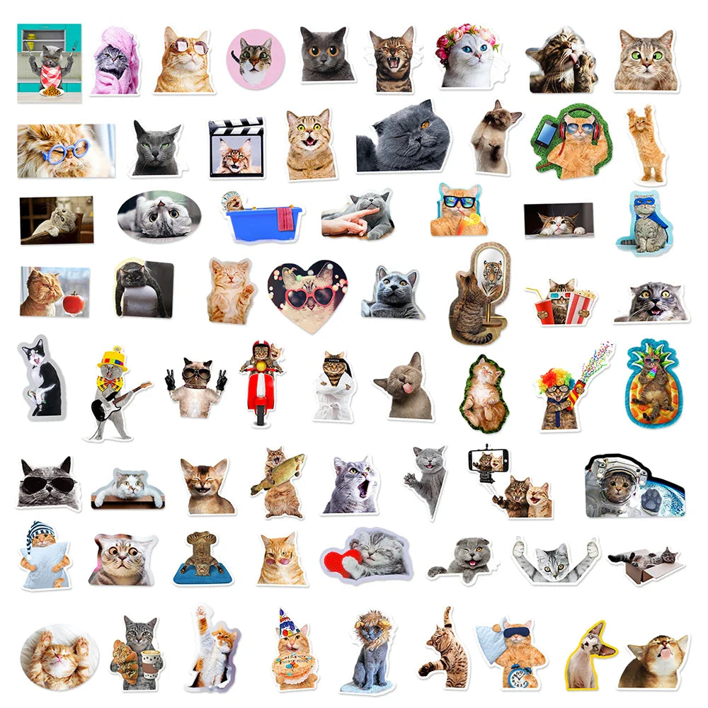 10/30/65PCS Kawaii Funny Cat Stickers Cute Cartoon Decals DIY Skateboard Phone Notebook Luggage Fridge Bike Car Sticker Kids Toy (ONLINE ORDER ONLY)