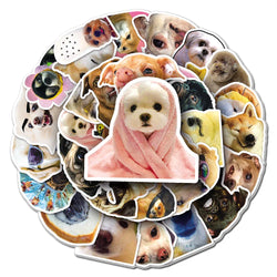 Dog Meme Stickers Waterproof Decals for Laptop, Suitcase, Notebook, Skateboard, Car - 10/30/50PCS (ONLINE ORDER ONLY)