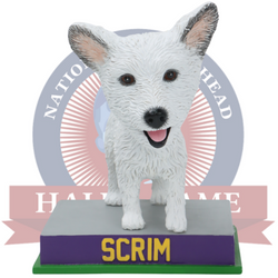 Scrim Bobblehead (Presale) (ONLINE ORDER ONLY)