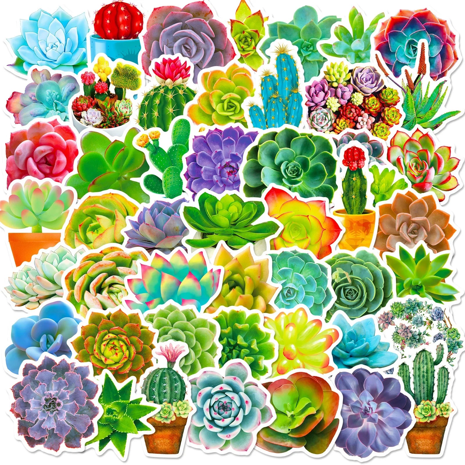 Succulent Plant Stickers Set: Waterproof Decals for Phone, Laptop, Scrapbook, Luggage (ONLINE ORDER ONLY)