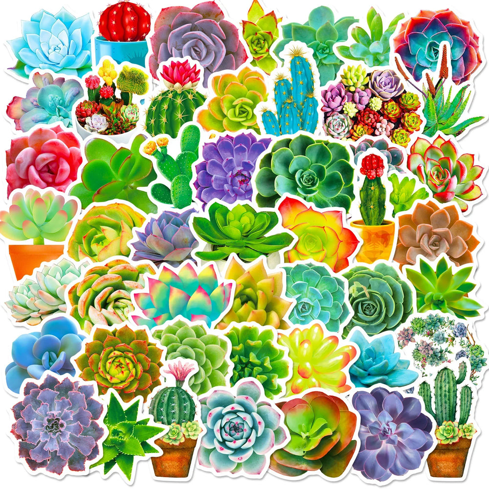 Succulent Plant Stickers Set: Waterproof Decals for Phone, Laptop, Scrapbook, Luggage (ONLINE ORDER ONLY)