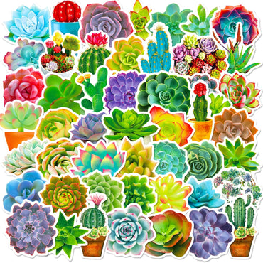Succulent Plant Stickers Set: Waterproof Decals for Phone, Laptop, Scrapbook, Luggage (ONLINE ORDER ONLY)