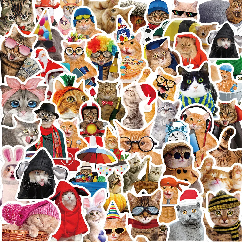 10/30/50pcs  Funny Animals Cat Meme Stickers Cute Cartoon Decals Kids Toys Laptop Notebook Luggage Motorcycle Decoration Sticker (ONLINE ORDER ONLY)