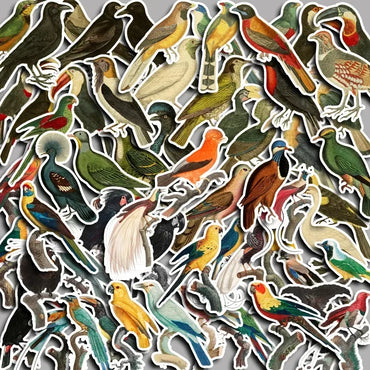 10/60Pcs Retro Style Lovely Little Colorful Bird Animal Stickers Decorate Luggage Computers Refrigerators Stickers Kids Gifts (ONLINE ORDER ONLY)