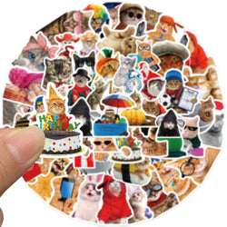 10/30/50pcs  Funny Animals Cat Meme Stickers Cute Cartoon Decals Kids Toys Laptop Notebook Luggage Motorcycle Decoration Sticker (ONLINE ORDER ONLY)