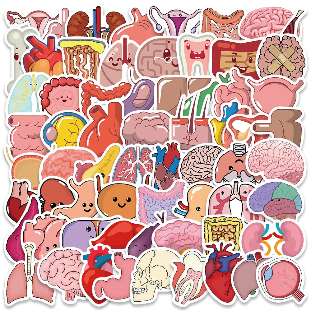 65PCS Cute Human Organ Anatomy Stickers Waterproof for Laptop, Bicycle, Guitar, Phone, DIY Graffiti (ONLINE ORDER ONLY)