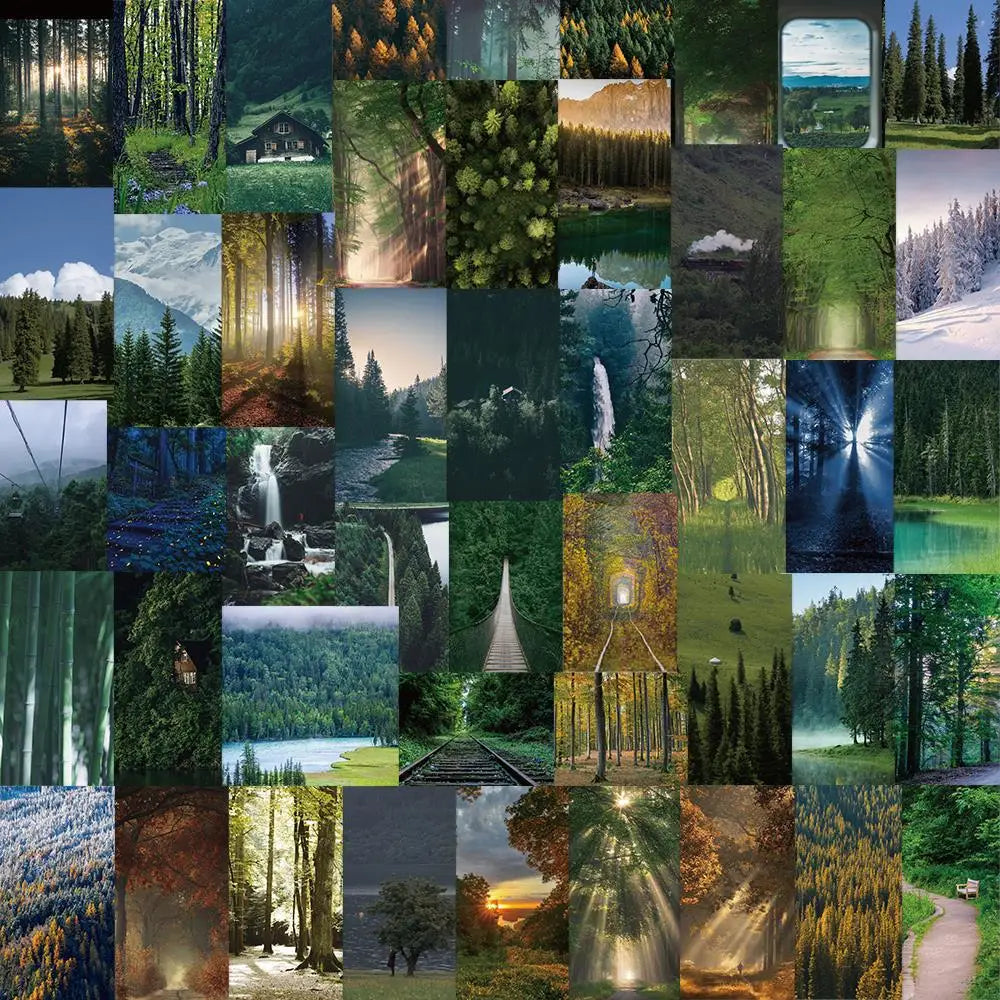 62PCS Misty Forest Landscape Sticker Waterproof Decoration Scrapbook Label Diary Stationery Phone Luggage Gift Toy Decal (ONLINE ORDER ONLY)