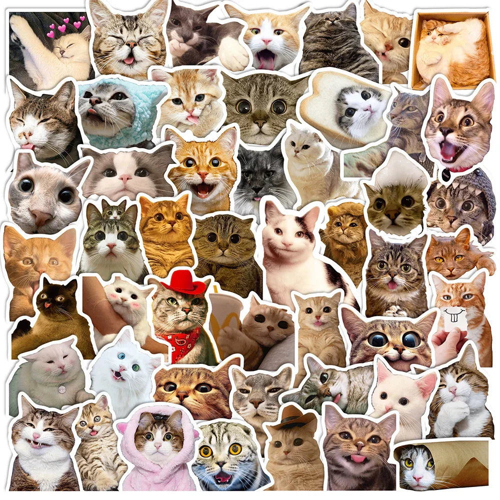 Cute Cat Meme Stickers - 10/30/50pcs for Laptop, Fridge, Phone, Scrapbook, Diary (Online Order Only)
