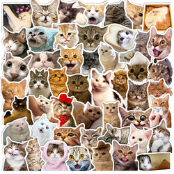 Cute Cat Meme Stickers - 10/30/50pcs for Laptop, Fridge, Phone, Scrapbook, Diary (Online Order Only)