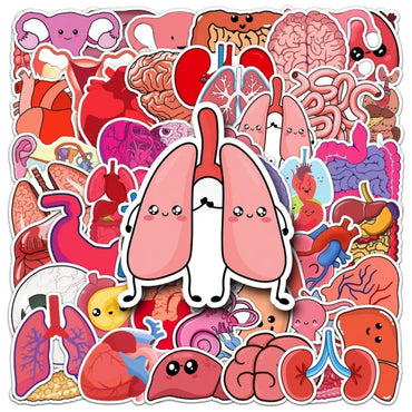 10/50Pcs Cartoon Human Organs Graffiti Stickers Decoration Phone Case Suitcase Luggage Case Sticker Waterproof for Kids Toys (ONLINE ORDER ONLY)