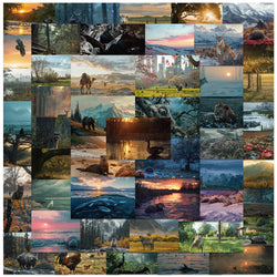 Scenery Animal Art Stickers for Phone Laptop Luggage Skateboard Decals Gift (ONLINE ORDER ONLY)