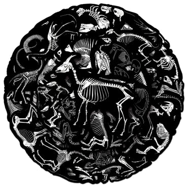 10/50PCS Dark Animal Skeleton Skull Stickers Graffiti DIY Scrapbook Skateboard Fridge Luggage Notebook Diary Graffiti Sticker (ONLINE ORDER ONLY)